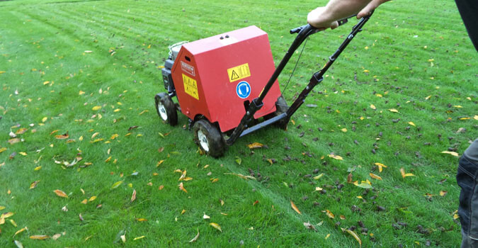 Lawn Aeration