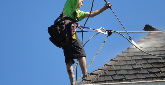 Roof Cleaning